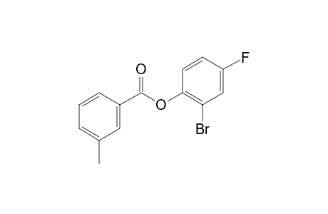 m-Toluic acid, 2-bromo-4-fluorophenyl ester