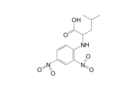 N-(2,4-dinitrophenyl)-L-leucine