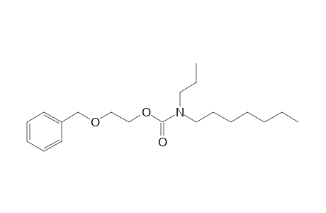 Carbonic acid, monoamide, N-propyl-N-heptyl-, 2-(benzyloxy)ethyl ester