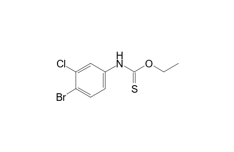 4-Bromo-3-chlorothiocarbanilic acid, o-ethyl ester