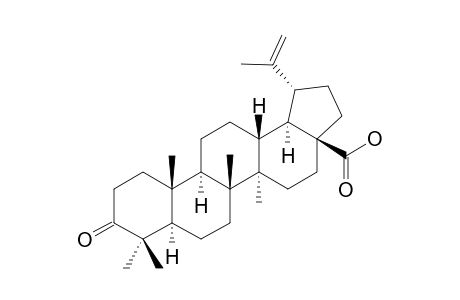 3-oxolup-20(29)-en-28-oic acid