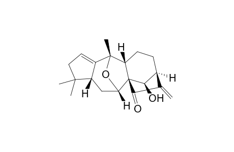 CROTONKINENSIN_B;7-ALPHA,10-ALPHA-EPOXY-14-BETA-HYDROXYGRAYANANE-1-(2)-16-(17)-DIEN-15-ONE