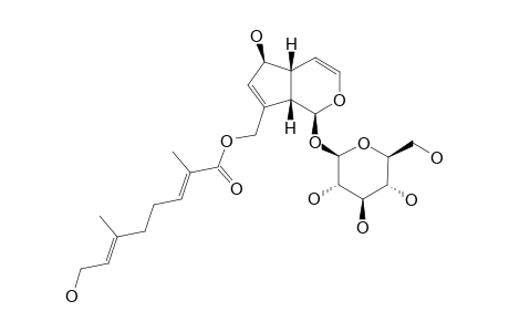 10-O-FOLIAMENTHOYLAUCUBIN