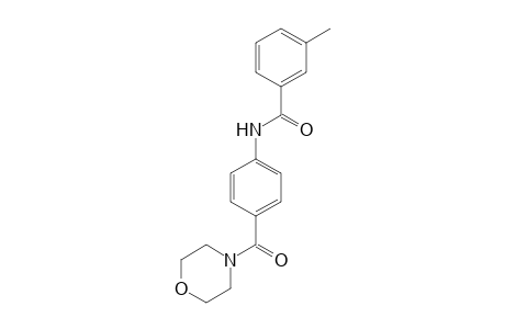 N-(4-Morpholinocarbonylphenyl)-3-methylbenzamide