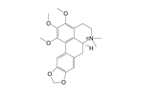 N-METHYLPHOEBINE