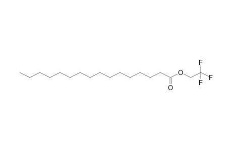 Hexadecanoic acid, 2,2,2-trifluoroethyl ester