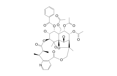 EUOLUTCHUMINE