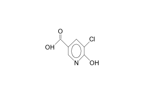 5-Chloro-6-hydroxy-nicotinic acid