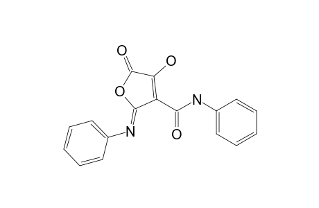 3-hydroxy-4-(N-phenylcarbamoyl)-5-(N-phenylimino)-2(5H)-furanone