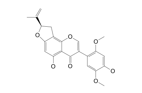 BRANDISIANIN_B