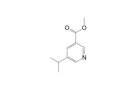 5-Isopropyl-nikotinsaeuremethylester