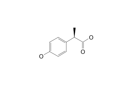 (2R)-2-(4-Hydroxyphenyl)propanoic acid