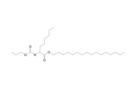 2-Aminocaprylic acid, N-propoxycarbonyl-, hexadecyl ester