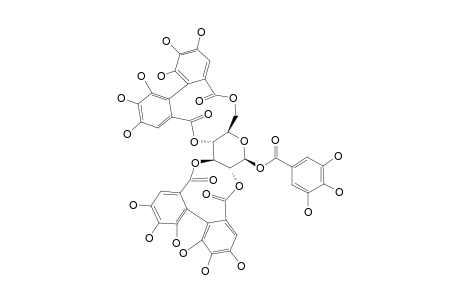 CASUARICTIN