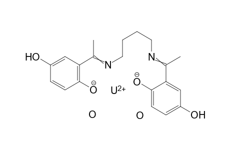 2,2'-(1,4-Butanediylbisnitriloethylidine)-bis-(4-hydroxyphenolato)uranyl(II)