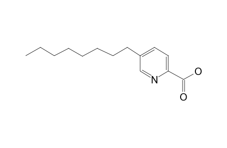 Picolinic acid, 5-octyl-