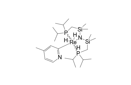 [PNP(I-PR)]-REH3-(4-METHYL-2-PYRIDYL)