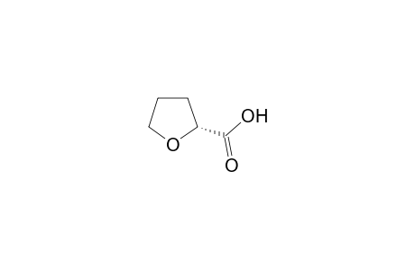 (R)-(+)-Tetrahydro-2-furoic acid