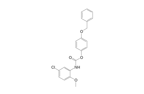 5-chloro-2-methoxycarbanilic acid, p-(benzyloxy)phenyl ester
