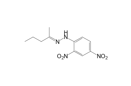 2-Pentanone, (2,4-dinitrophenyl)hydrazone
