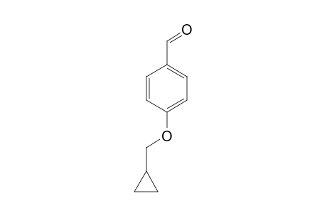 4-(Cyclopropylmethoxy)benzaldehyde