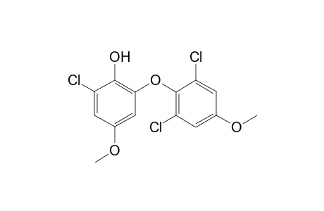 Russuphelin F [2-(2,6-Dichloro-4-methoxyphenyloxy)-6-chloro-1-hydroxy-4-methoxybenzene]