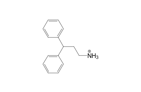 Fendiline MS3_1