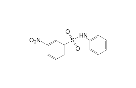 3-nitrobenzenesulfonanilide