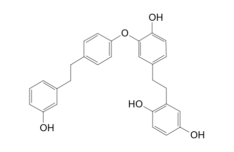 14'-Hydroxyperrottetin E