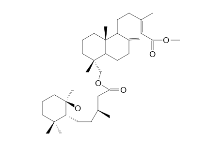 PAUPEROL