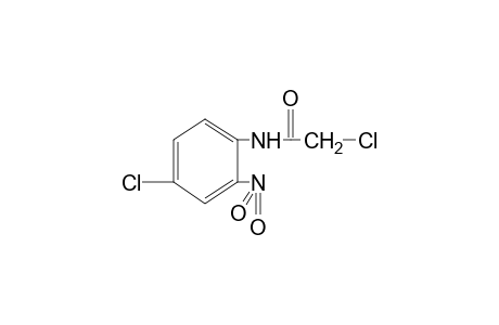 2,4'-dichloro-2'-nitroacetanilide