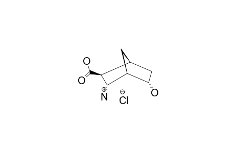 (1S*,2S*,3S*,4S*,5R*)-3-AMINO-5-HYDROXYBICYCLO-[2.2.1]-HEPTANE-2-CARBOXYLIC-ACID-HYDROCHLORIDE