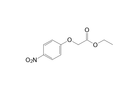 (p-nitrophenoxy)acetic acid, ethyl ester