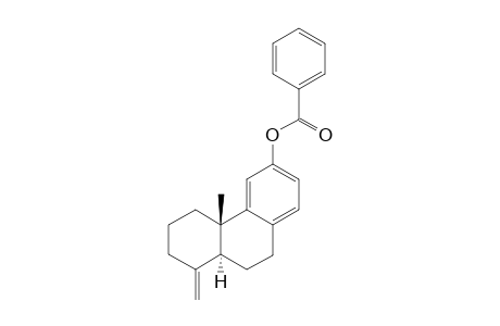 19-NORPODOCARPA-4(18),8,11,13-TETRAEN-12-YL-BENZOATE