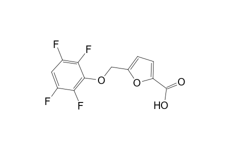 5-[(2,3,5,6-Tetrafluorophenoxy)methyl]-2-furoic acid