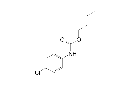 p-chlorocarbanilic acid, butyl ester