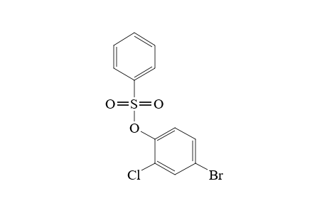 BENZENESULFONIC ACID, 4-BROMO-2-CHLOROPHENYL ESTER