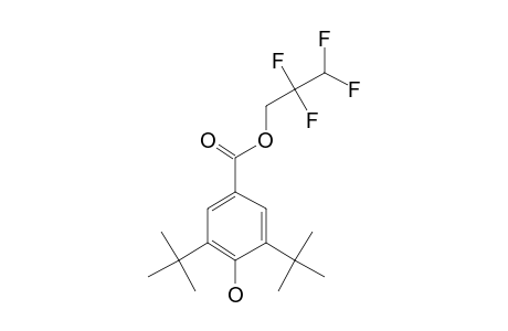 3,5-di-Tert-butyl-4-hydroxybenzoic acid, 2,2,3,3-tetrafluoro-1-propyl ester