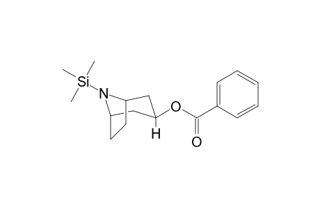 Nortropacocaine TMS