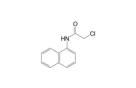 2-chloro-N-(1-naphthyl)acetamide