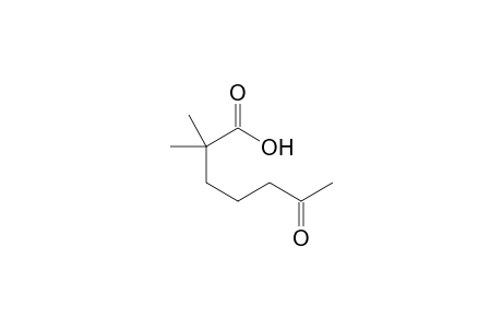 2,2-dimethyl-6-oxo-heptanoic acid