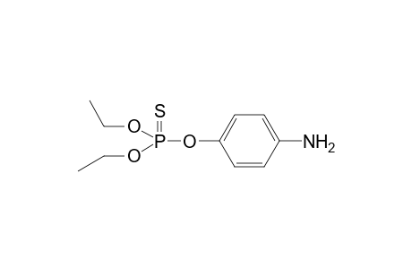 Parathion-ethyl-M (amino)