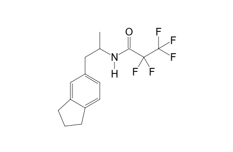 5-Apdi pfp