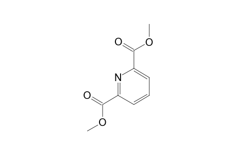 2,6-Pyridinedicarboxylic acid, dimethyl ester