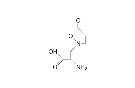 B-Isoxazolin-5-on-2-yl-alanine