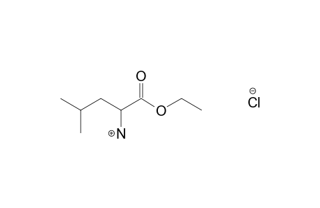 L-leucine, ethyl ester, hydrochloride
