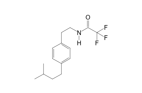 4-iso-Pentylphenethylamine tfa