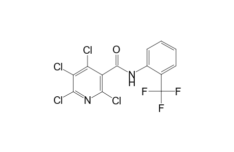 3-pyridinecarboxamide, 2,4,5,6-tetrachloro-N-[2-(trifluoromethyl)phenyl]-