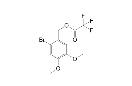 2-Bromo-4,5-dimethoxybenzyl alcohol TFA