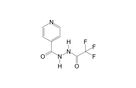 Isoniazid TFA